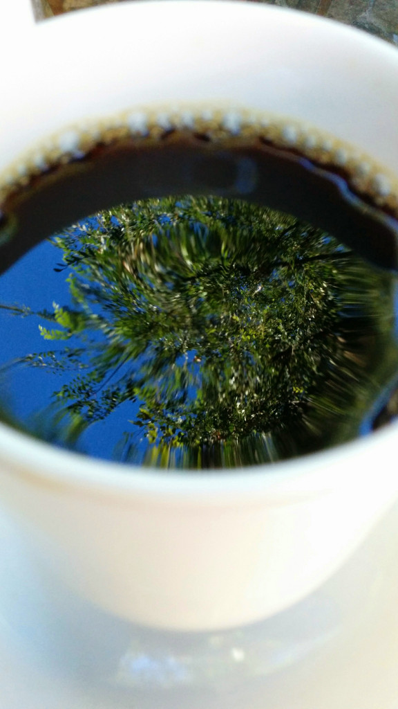 White porcelain cup of black coffee out of focus with in-focus reflection of blue sky and a tree overhead in the surface of the coffee.